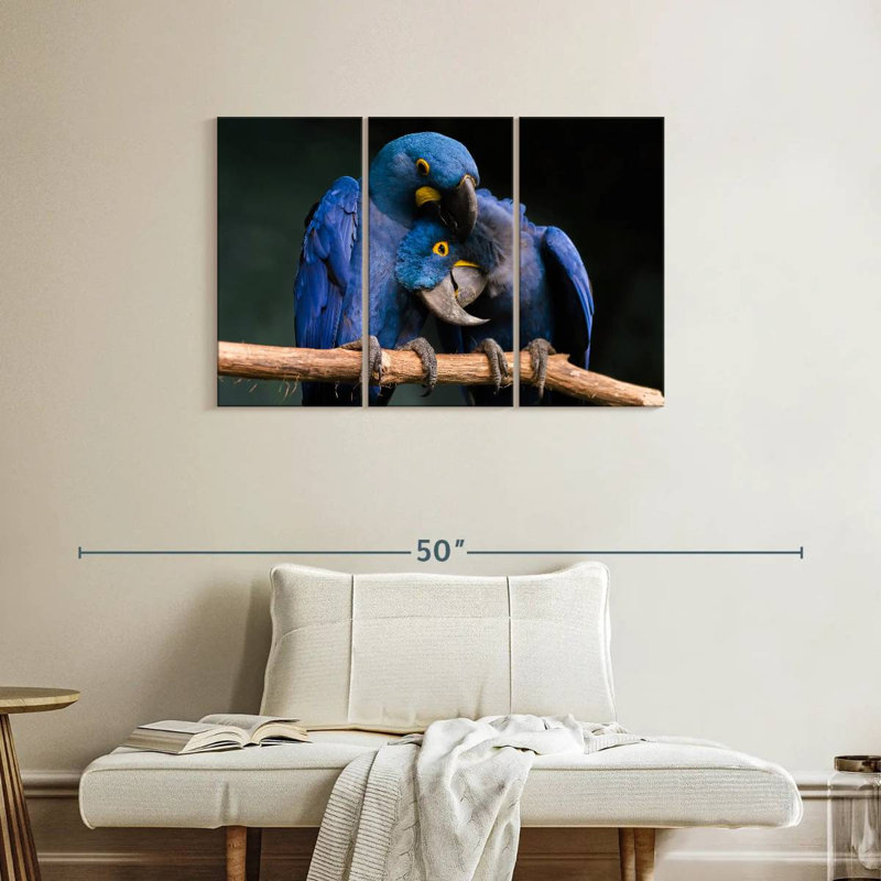 Brampt Hyacinth Blue Macaws, 24" H x 38" W