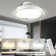 Ceiling Fan with LED Lights