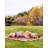 Wild Glamour Feather Reversible Throw Pillow