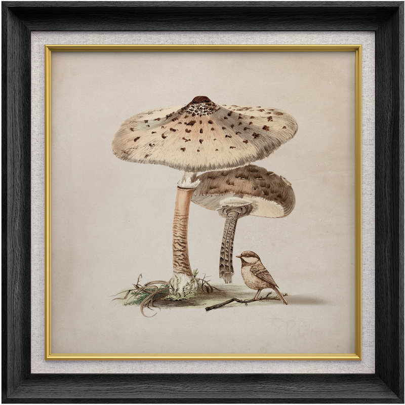 Illustration rétro d'un champignon et d'un oiseau, Cadre noir de qualité supérieure, H 26 po x l 26 po x P 1,5 po