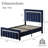 Velvet Upholstered Platform Bed Frame with Vertical stripes Headboard and Footboard and Footboard-836136307-836136315