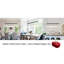 Broghan 8 - Light Sphere Globe Chandelier[No Bulb]