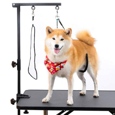 BestPet Large Adjustable Pet Dog Cat Grooming Table W/Arm&Noose Rubber Mat  GT36,Grooming Tables