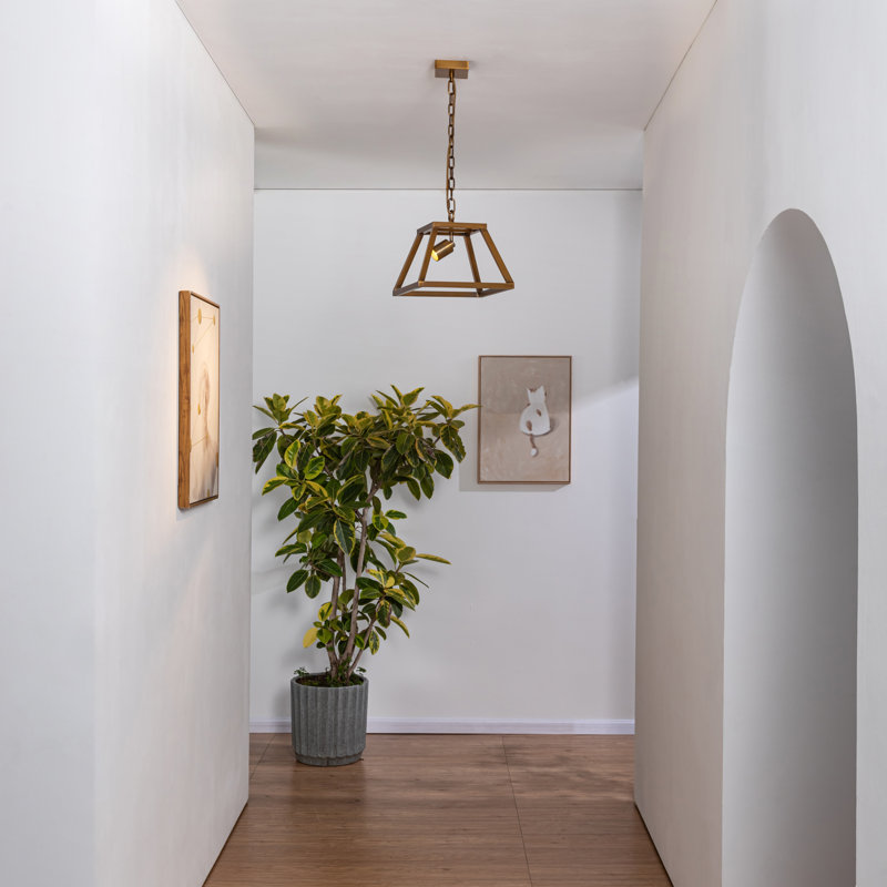 1 - Light LED Caged Pendant