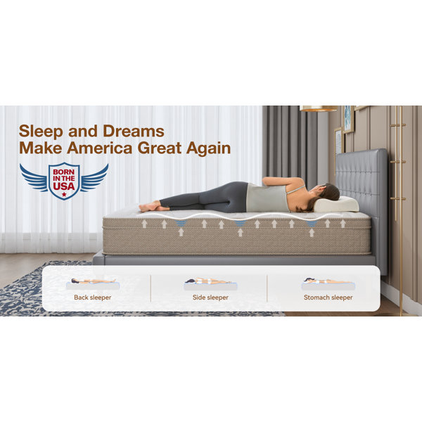 Alwyn Home Pain Relieving Innerspring Mattresses For Extra Lumbar & Hip ...