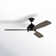 Rivers 52'' Ceiling Fan with LED Lights