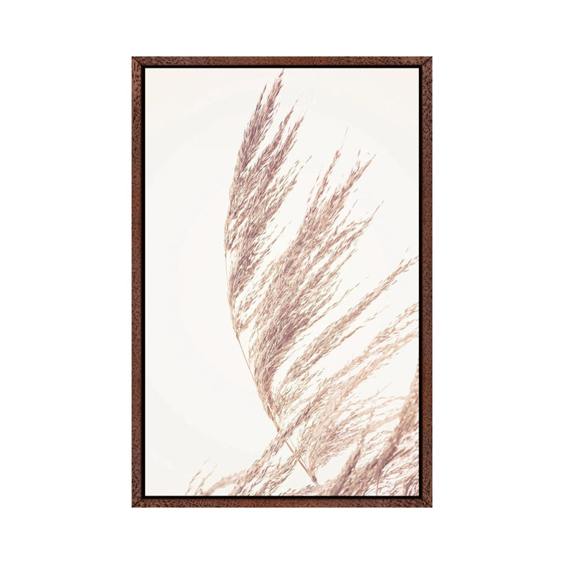 Pampas Grass II 1 Piece Wall Art on Canvas, 66.04 cm H x 45.72 cm W, Classic Wood Framed