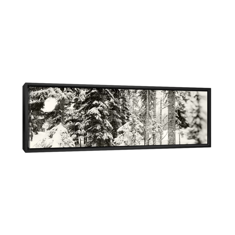 « stevensing », reproduction de photo sur toile en noir et blanc recouvert de neige, H 16 po x l 48 po x P 1,5 po