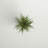 Artificial Grass and Eucalyptus in Pot-976843448