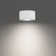 Peek LED Flush Mount
