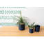 Carlotta Ceramic Pot Planter-607820780-607820782