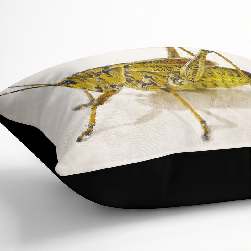 Grasshopper Vol.1 Painting Square Throw Cushion, 40cm H x 40cm W x 15cm D, Black