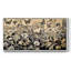 Botanical Series-C XXVI - Toile tendue avec châssis encadré - Prêt à être accroché-572392000-572392057