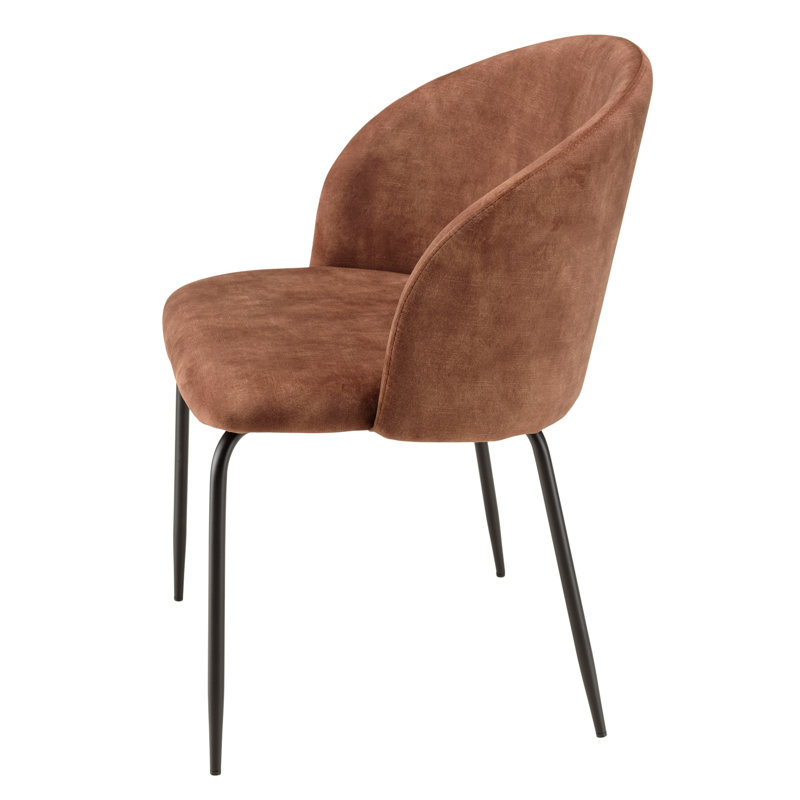 Luanna 47cm H Velvet Upholstered Side Chair, Brown