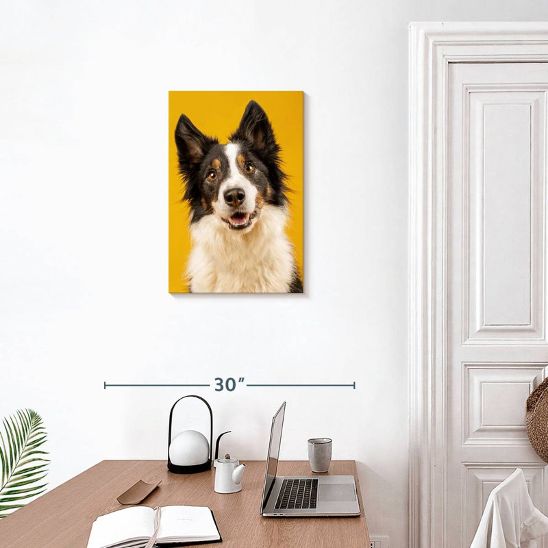 Brampt Adorable Border Collie, 24" H x 16" W