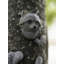 Hallock Animals UV Resistant Plastic Garden Statue
