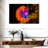 Spanish Shawl Nudibranch-1217699927