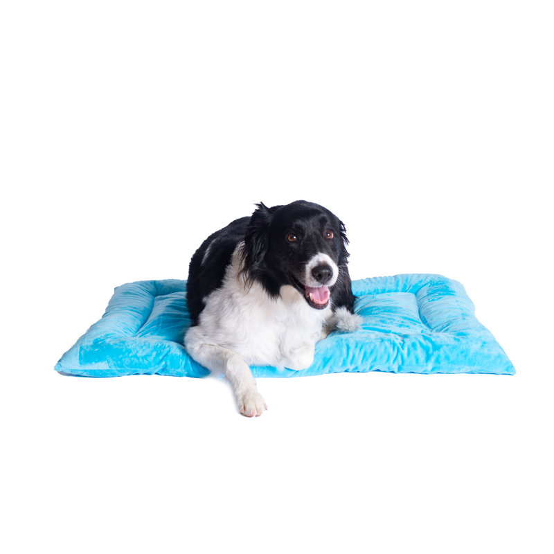 Large Sky Blue Velvet Pet Bed Mat with Padded Border