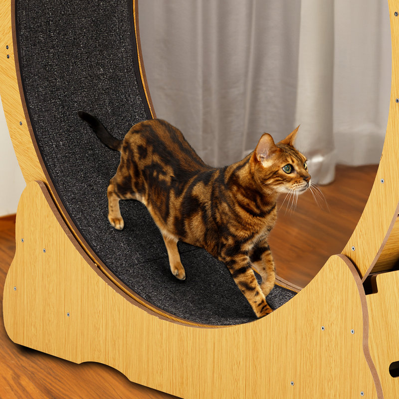 Large Treadmill Cat Exercise Wheel For Running Silent, Small (41.7"H x 13.4"W x 39.4"L)