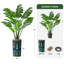 Arbre artificiel dans un pot de fleurs moderne, arbre de soie artificiel Monstera (décoration en pot et arbre)-2047780291-2079651339