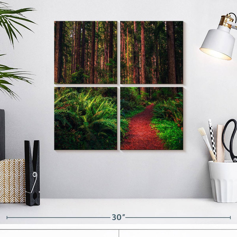Alvord Redwood Forest Trail, H 18 po x l 18 po