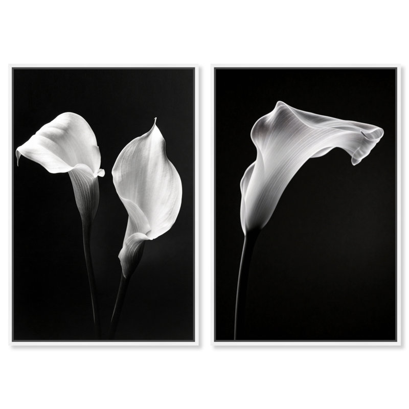 Calla Lily Set Set by Oliver Gal, 46" H x 31" W, White Floater Frame