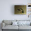 Art sur toile, la bolognaise Margaret Halaby-109217847