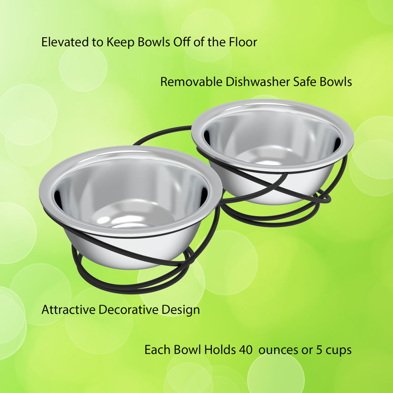 Set of 2 Elevated Stainless Steel Pet Bowls with Black Iron Stand