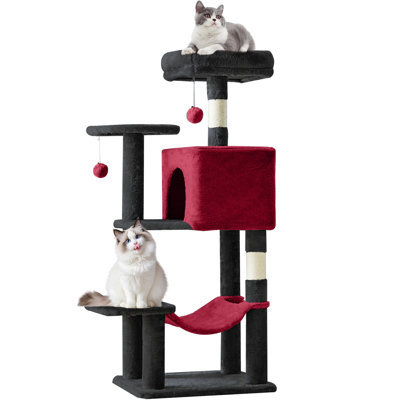 Arbre à chat
