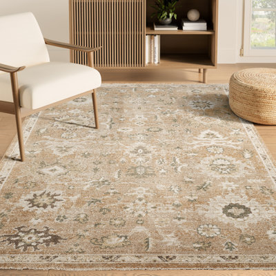 Abani Rugs EVE120A Evelyn Traditional Vintage Terracotta Rust Ivory Area Rug