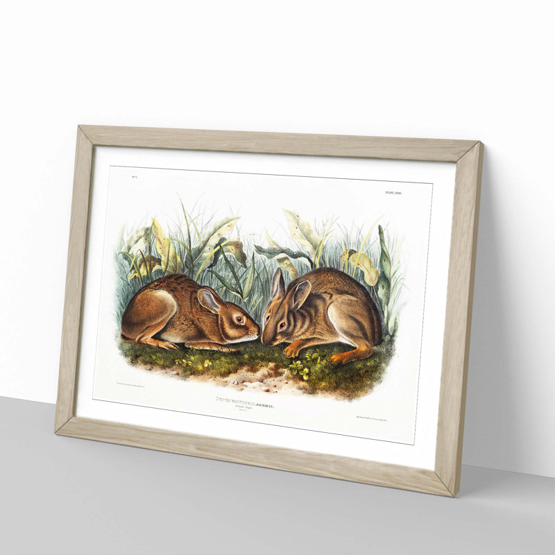 Marsh Hares by J.W. Audubon - Framed Print, 50cm H x 76cm W x 2cm D, Oak