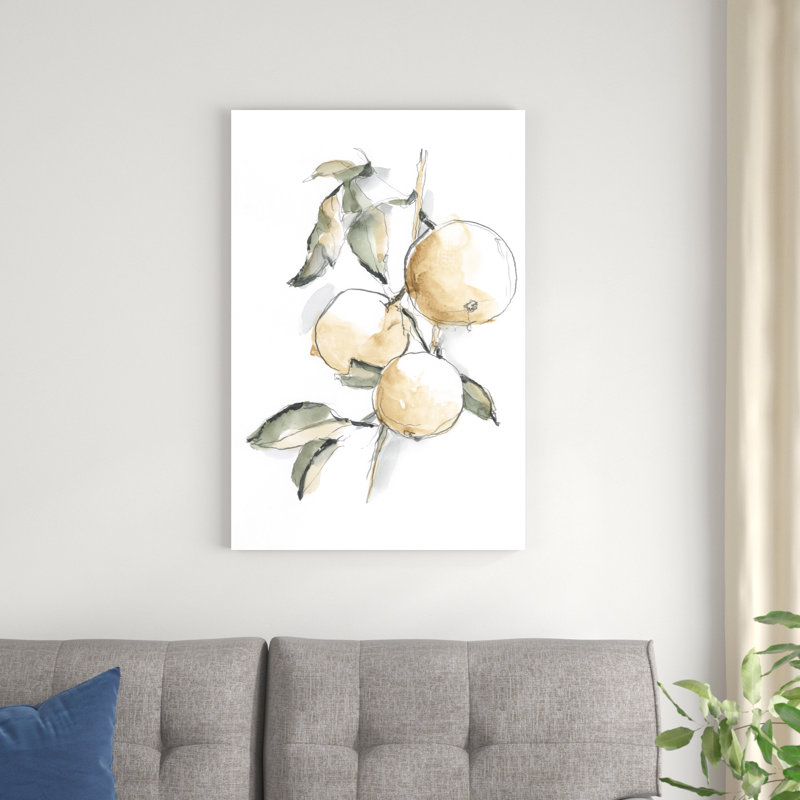 Aquarelle fruit contour II, H 18 po x l 12 po x P 1,25 po
