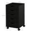 Omorinsola 40cm Wide 5 -Drawer File Cabinet