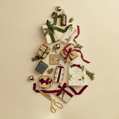 Diffuseur de parfum Thymes Frasier Fir, flacon en verre dépoli de 120 ml d'huile parfumée avec tiges et désodorisant d'ambiance aux aiguilles de pin pour la décoration intérieure