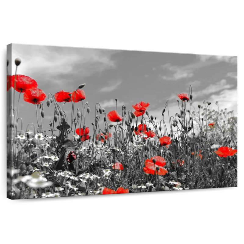 Harnek Poppy Field, 32" H x 48" W