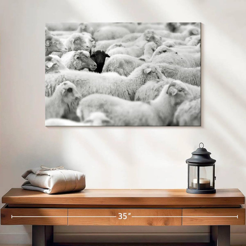 Distinct Black Sheep, 16" H x 24" W