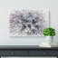Dandelion Seeds In Blue & Pink - Wrapped Canvas-56640710