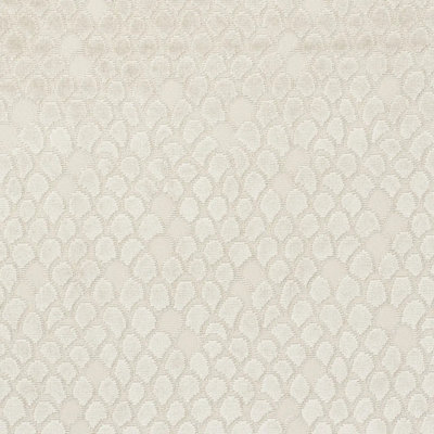 Esther Velvet Fabric