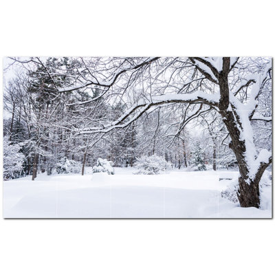 Photo d'hiver 4,25 x 4,25