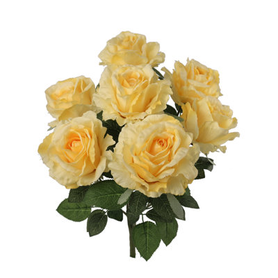 Rosier x 7 fleurs