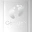 Wall Decal