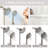Premium Dual Shower Head Combo With Handheld Spray & Advanced Filtration System-113054051