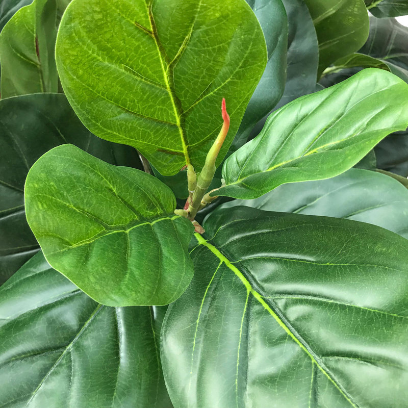 72'' Faux Fiddle Leaf Fig Tree in Pot, Black