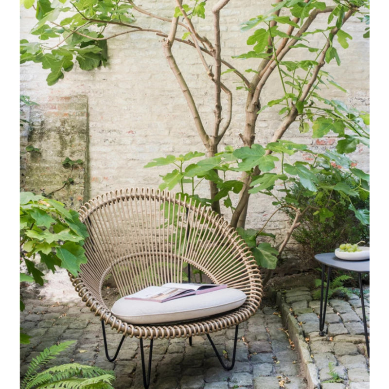 Roy Outdoor Papasan Chair, Brown/Black