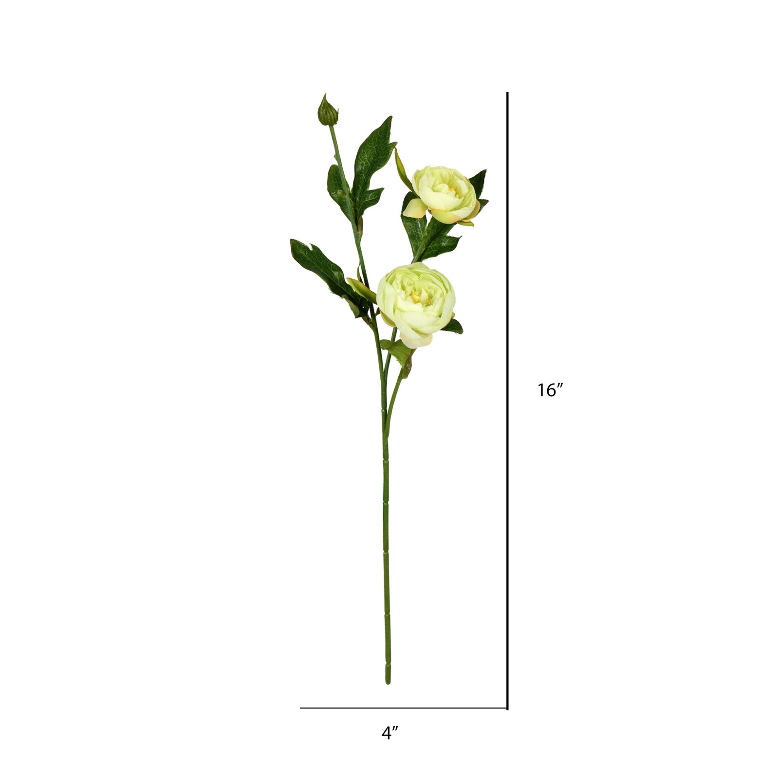 Peony Floral Stems, Lime