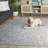 Manel 100 Performance Oriental Rug-675992573