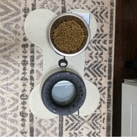 Super Area Rugs Decorative Dog Feeding Mat Natural Cotton Easy Clean Paw  Print Rectangle 15 X 23 Charcoal & Reviews