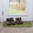RITZ Accent Rug-1343899540-1343899562