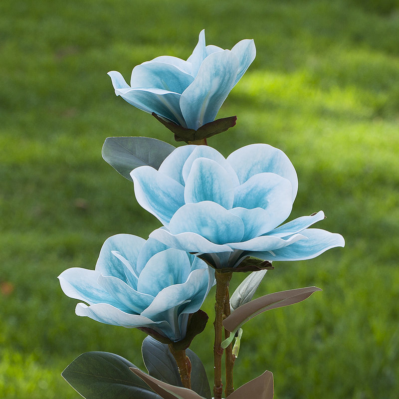 Magnolia dans un vase, Bleu