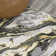 Horfield Abstract Black/Yellow Rug